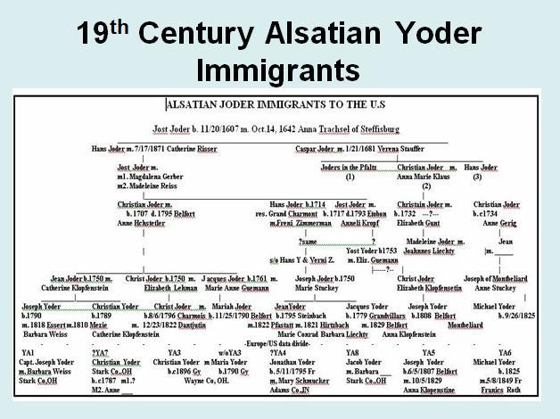 Alsatian Yoder The Alsatian Yoders started to come to the US in the 1800s, and arrived in NY, OH, and Indiana.