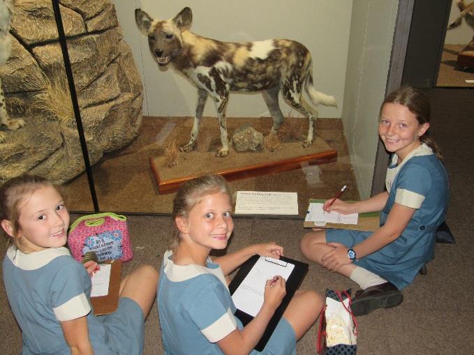 Mrs Blake took one class through the sections on living creatures, whilst the other class were taken to the San rock art displays by Miss