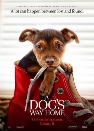 MEDIA MADNESS CULTURE & TRENDS MOVIE Title: A Dog s Way Home Genre: Adventure, Family Rating: PG Cast: Bryce Dallas Howard, Ashley Judd, Edward James Olmos Synopsis: In this movie, based on a novel