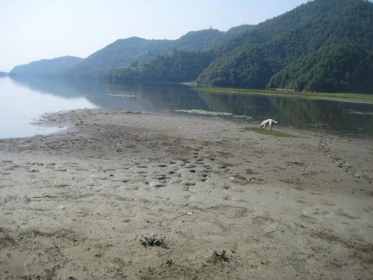 flat plain (Photos 8). This plain must have been a part of Phewa Lake many decades ago.