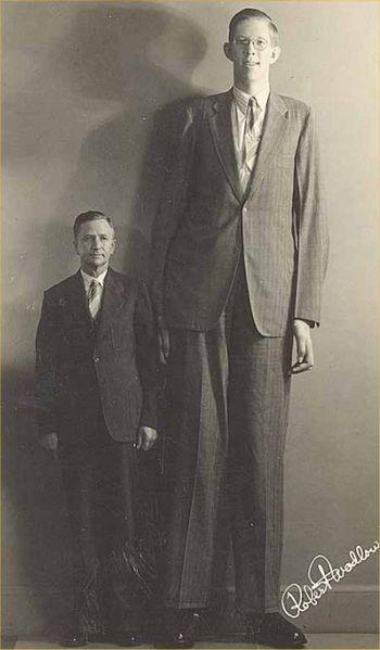 Tallest Human beings