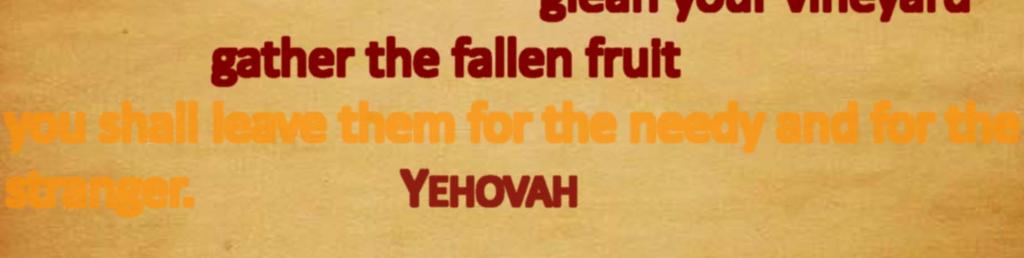 10 Nor shall you glean your vineyard, nor shall you gather the fallen fruit of your vineyard; I am the