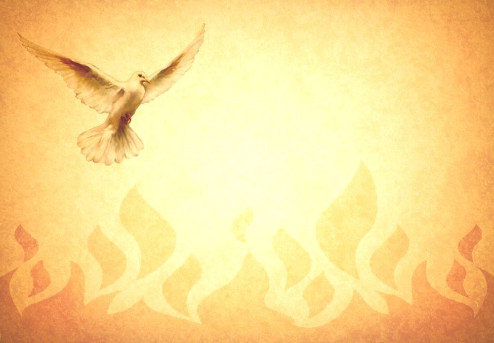 Dear Sisters and Brothers, Is the wind of the Spirit at your back? On the church s first Pentecost the Spirit blew into the room where the disciples gathered.