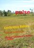 pulse Conference Report ADOPT A NATION Bohol Children s Home Philippines missions, not something we do, but who we are!