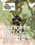 Pray for the Peace of Jerusalem