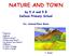 NATURE AND TOWN. by 5 A and 5 B Defassi Primary School