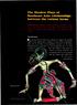 The Shadow Plays of Southeast Asia: relationships between the various forms