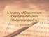 A Journey of Discernment: Organ Revitalization Recommendations