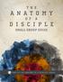 What does it mean to be a disciple of Christ? In this