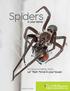 Spiders. in your home. Instead of killing them Let them thrive in your house. Nicholas M. Hellmuth