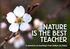 NATURE IS THE BEST TEACHER. A selection of teachings from Sathya Sai Baba