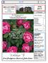 BELLVIEWS. July First Presbyterian Church of Dallas Center FIRST PRESBYTERIAN CHURCH DALLAS CENTER, IA UPCOMING EVENTS: In This Issue: