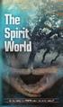 The Spirit world. Do you know the truth about the spirit world? Edited by the editorial staff of Global University ICI
