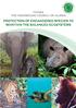 Fatwa on Protection of Endangered Species to Maintain the Balance of the Ecosystems 1