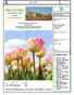BELLVIEWS. First Presbyterian Church of Dallas Center FIRST PRESBYTERIAN CHURCH DALLAS CENTER, IA. May In This Issue:
