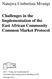 Natujwa Umbertina Mvungi. Challenges in the Implementation of the East African Community Common Market Protocol
