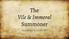 The Vile & Immoral Summoner. Serena Bai & JunBo Wu