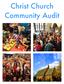Christ Church Community Audit
