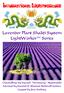 International. Lavender Plant Shakti System LightWorker Series