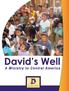 What is David s Well?