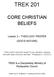 TREK 201 CORE CHRISTIAN BELIEFS. Lesson 2 THEOLOGY PROPER (GOD S NATURE)