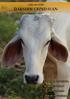 CARE FOR COWS. January 2017 DAKSHIN VRINDAVAN SAVED FROM SLAUGHTER NO MILK = NO HOME CALF SAVES MOTHER AROUND THE GAUSHALA