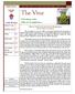 The Vine. E-Newsletter of the Office for Evangelization. What Do World Youth Day, The New Evangelization, and You Have In Common?