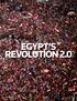 EGYPT S REVOLUTION 2.0