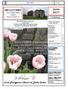BELLVIEWS. June First Presbyterian Church of Dallas Center FIRST PRESBYTERIAN CHURCH DALLAS CENTER, IA UPCOMING EVENTS: In This Issue: