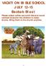 VACATION BIBLE SCHOOL JULY Baobab Blast