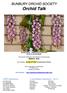 BUNBURY ORCHID SOCIETY. Orchid Talk. Aerides falcata POPULAR VOTE NOVICE Grown by Derise Meade