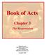 Book of Acts. Chapter 3. The Resurrection