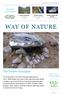 WAY OF NATURE. The Twelve Principles. Summary 12 principles. Heart Essence of The Way of Nature