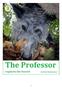 The Professor. -explores the Forest! Based on a true story. SHORTENED READING SAMPLE. THE ORIGINAL HAS 66 PAGES. Special Thanks to:
