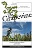 Grapevine.   This copy reserved for: Friends and visitors of St Andrew s Parish Church