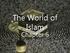 The World of Islam. Chapter 6