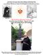 ROGATE! FIAT! May the Divine Will always be blessed! Newsletter Special Edition June 15 A.D Father Bernardino Bucci s 80 th Birthday