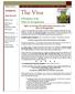 The Vine. E-Newsletter of the. Office for Evangelization. Eight is not enough The eight working committees of the. Office for Evangelization