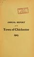 ANNUAL REPORT. the. Town of Chichester