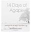 14 Days of Agape. Rosilind Jukić All Rights Reserved