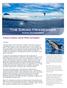 Summer 2013 Newsletter At home in Atlantis, with the Whales and Dolphins