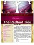 The Redbud Tree. From under... A Note From Pastor... Monthly Newsletter of First Presbyterian Church March, 2013.