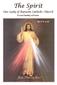 The Spirit. Our Lady of Ransom Catholic Church. Divine Mercy Sunday. April 8, 2018