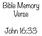 Bible Memory Verse. John 16:33