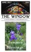 JUNE/JULY 2010 THE WINDOW. A monthly publication of Trinity Episcopal Church. Summer Blessings! Page 1