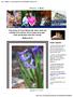 -- Matthew 28: Prayer requests: Share this:   Webview : Carney Seasons in the Son Newsletter for Easter 2014
