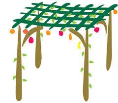 SUKKOT SERVICES AND EVENTS FRIDAY 14 OCTOBER 3.00 pm Sukkah decorating and bake in for Sukkot * *please let the office know if you are coming SUNDAY 16 OCTOBER 6.