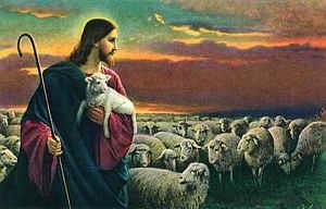Shepherd How