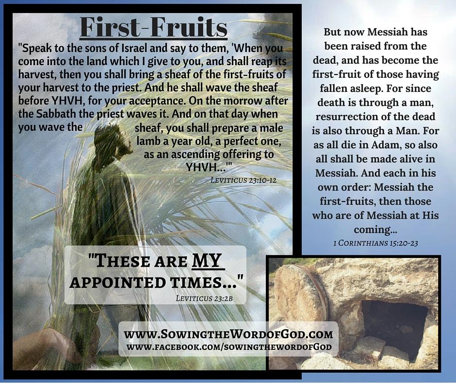 MESSIAH FULFILLS THE FEAST OF FIRST FRUITS Published by Sowing the Word of God - APRIL 17, 2016 The Day of First Fruits is one of YHVH s appointed days commanded in the Law (Torah.
