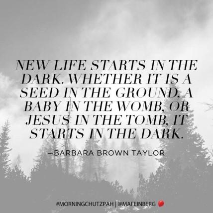 Taylor puts it this way, New life starts in the dark. Whether it is a seed in the ground, a baby in the womb, or Jesus in the tomb, it starts in the dark. God is with us in the dark.